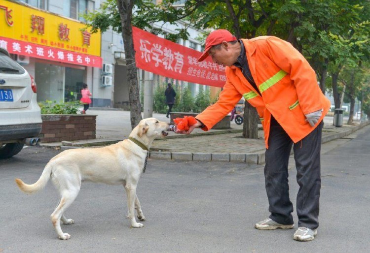 如果你家狗狗有这些行为恭喜你它是来报恩的