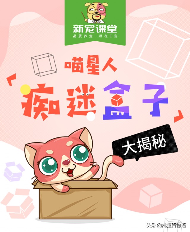 买了一堆玩具，结果猫只喜欢装玩具的纸箱