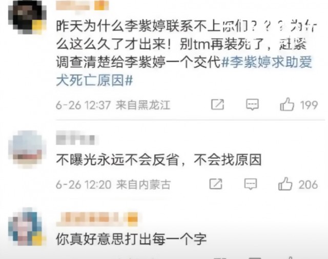 李紫婷心碎：托运狗狗接机时已成死尸我的狗狗经历了什么